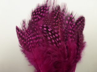 Guinea Fowl ( Body feathers ) Fuchsia